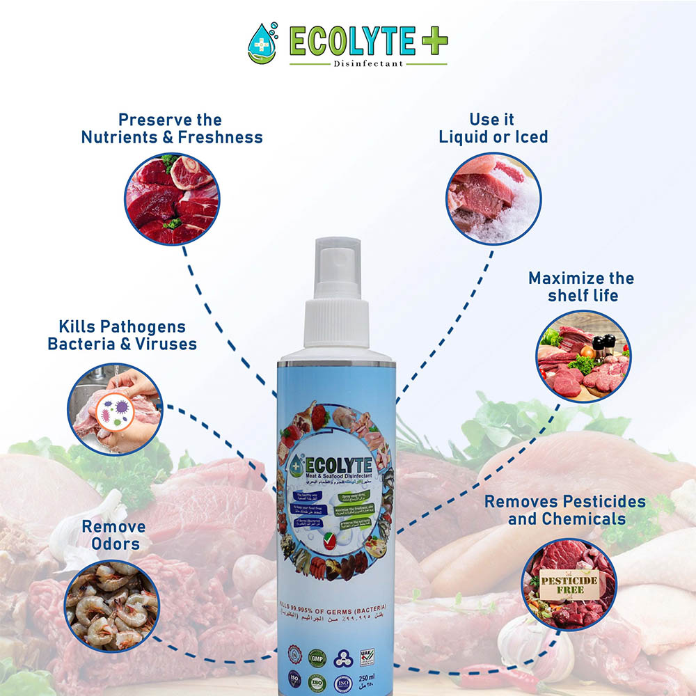 Ecolyte Meat & Seafood Disinfectant 250ml Pack of 32 Pcs I 100% Natural Action, Removes Pesticides & 99.9% Germs With Pure Electrolyzed Water, Safe to Use on Meat & Seafood, Nontoxic and Nonalcoholic.